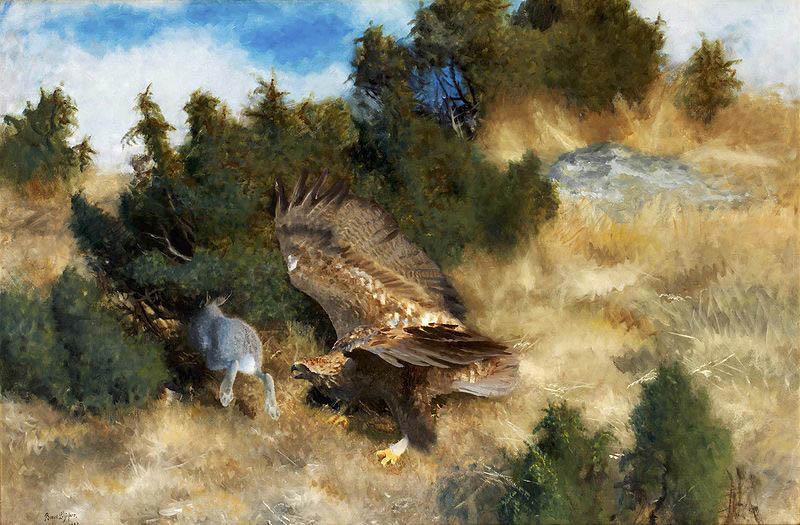 bruno liljefors orn jagande hare Germany oil painting art
